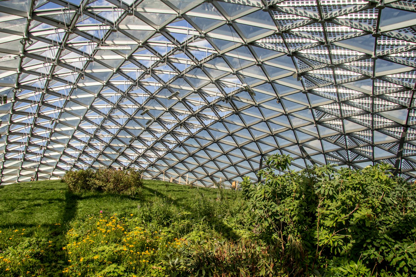 Geometric glass dome roof shelters an indoor garden with wildflowers.